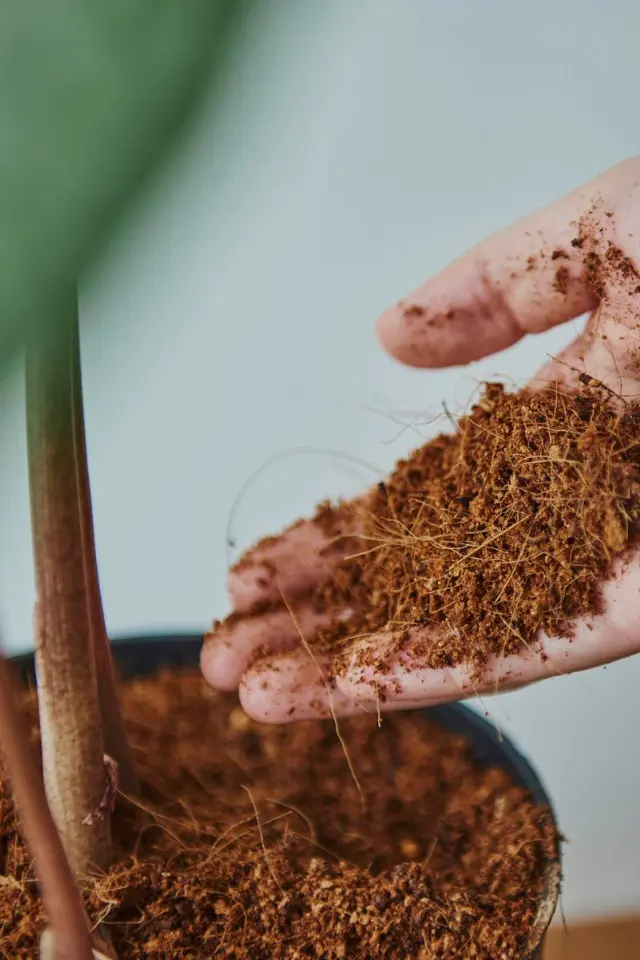 Cocopeat Suppliers 3